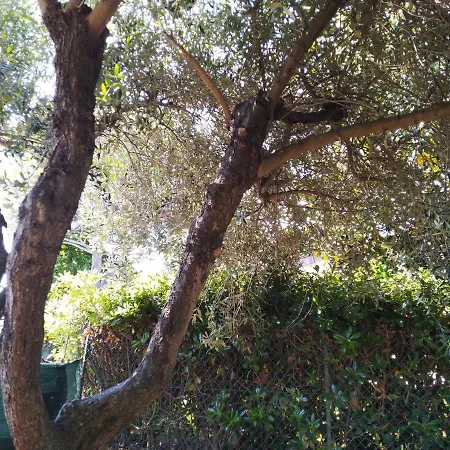 La Casa Di Sandra Porto Potenza Picena